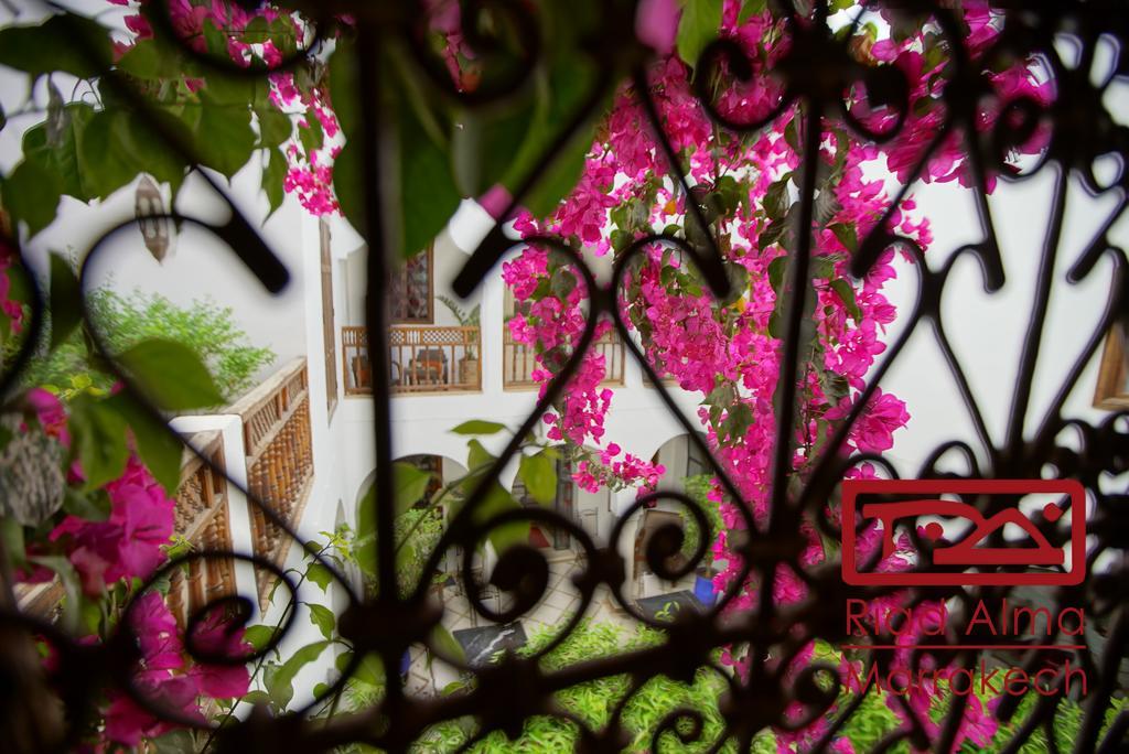 Riad Alma Marrakesh Buitenkant foto